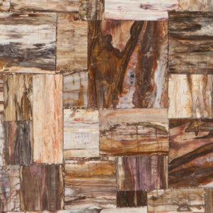 Retro Petrified Wood